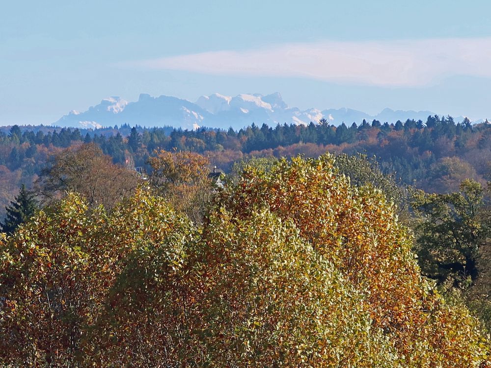 Blick auf die Berner Alpen