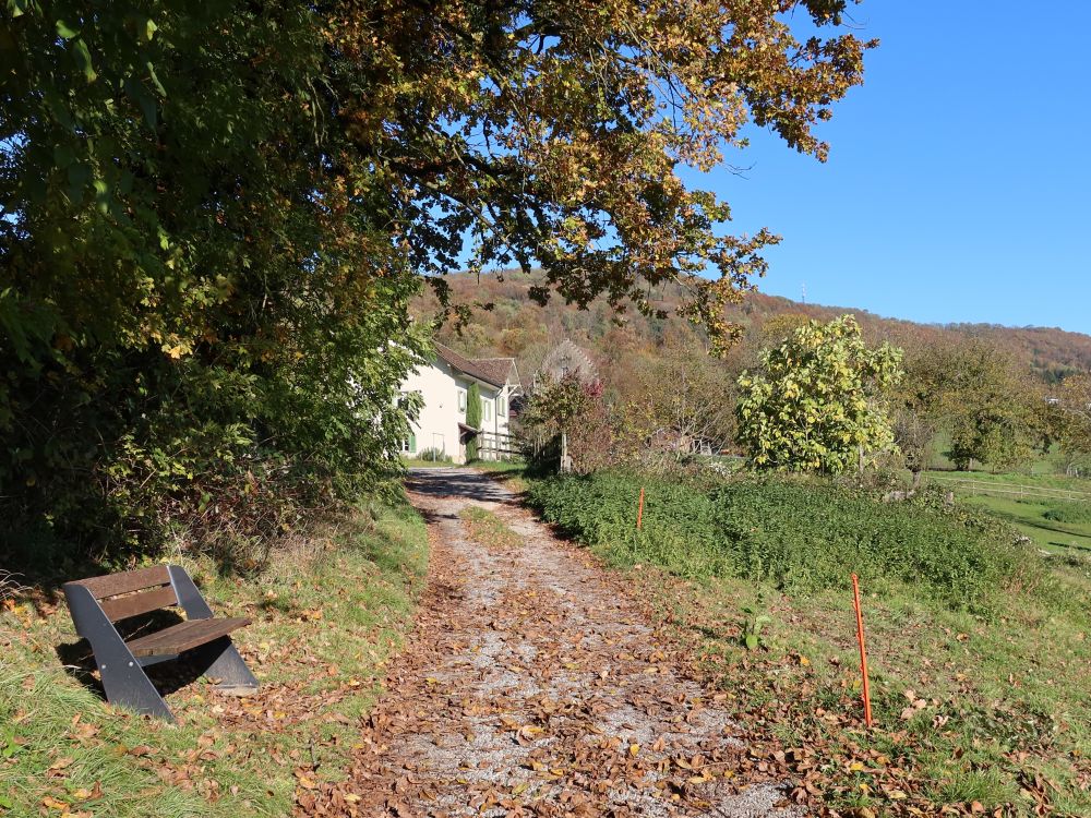 Sitzbank am Effingerweg