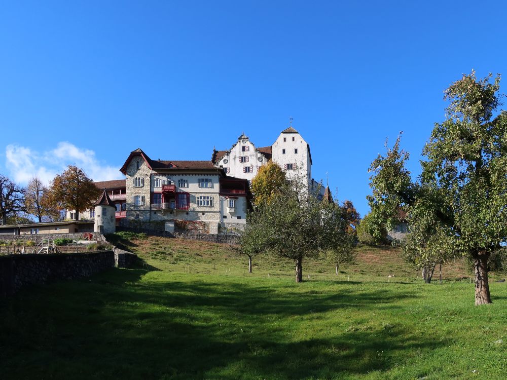 Schloss Wildegg