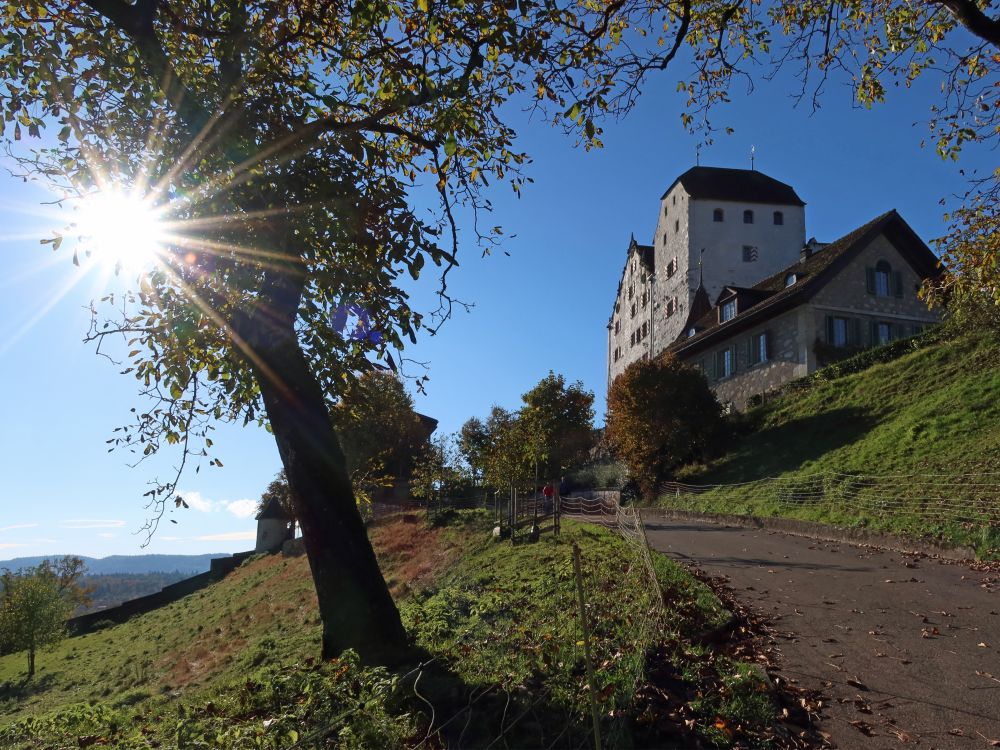 Schloss Wildegg