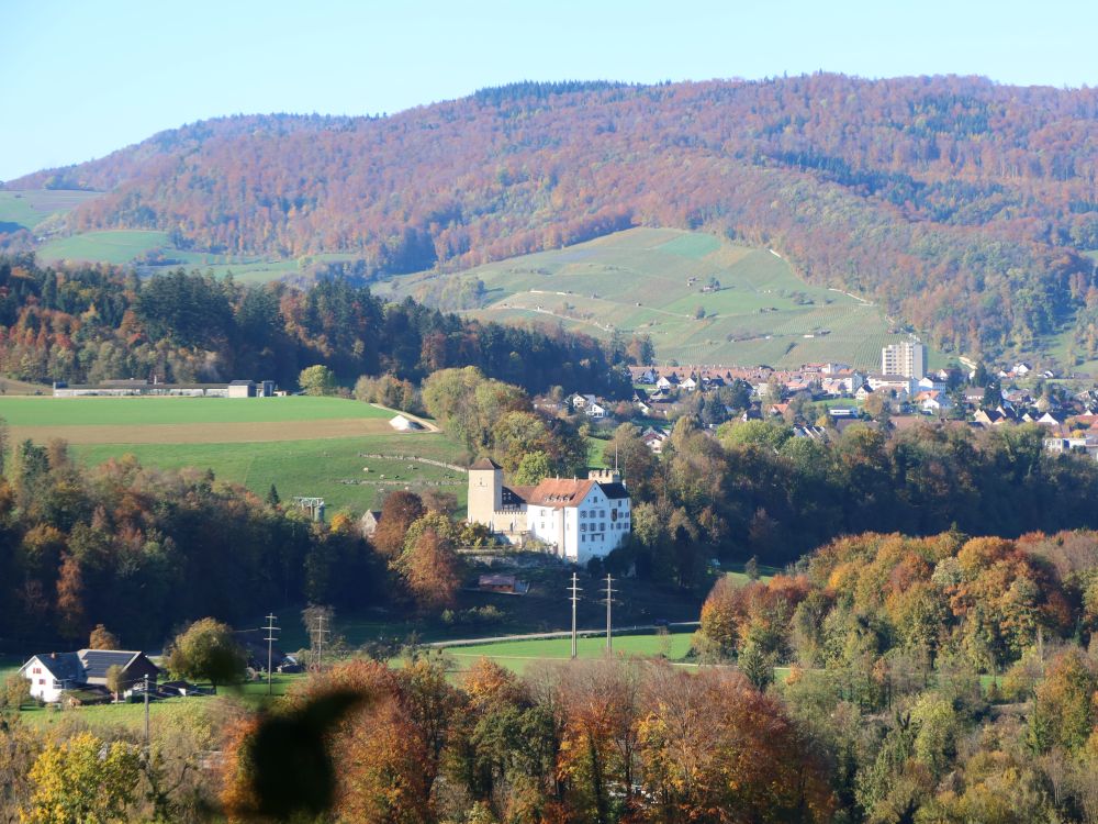 Schloss Wildenstein