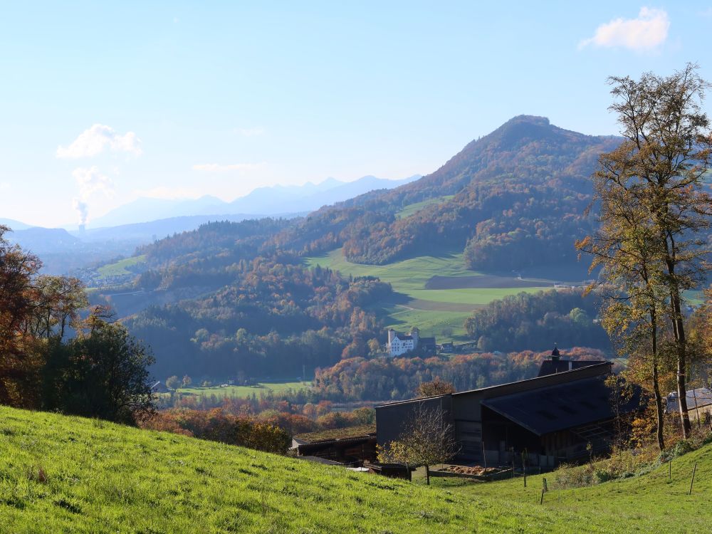 Schloss Wildenstein und Gisliflue