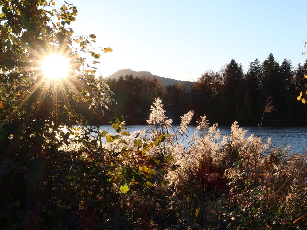 Gegenlicht über der Aare