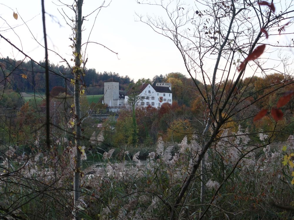 Schloss Wildenstein