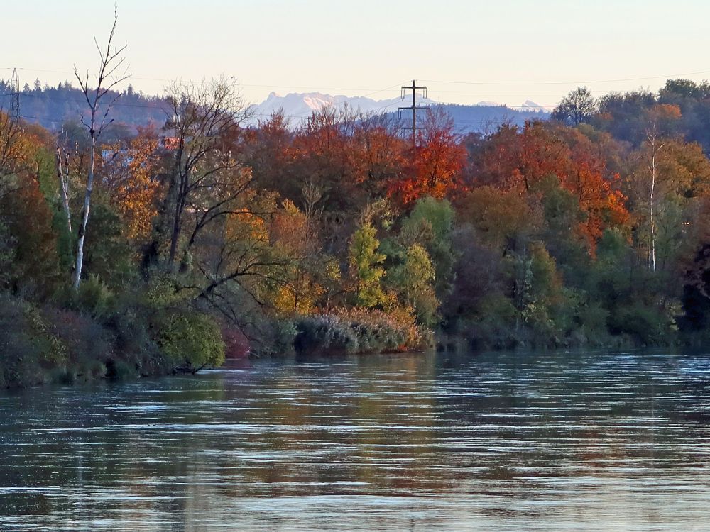 herbstliches Aareufer