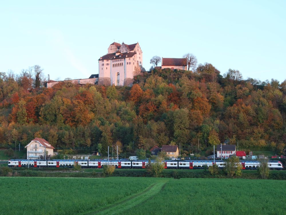 SBB unterm Schloss Wildegg