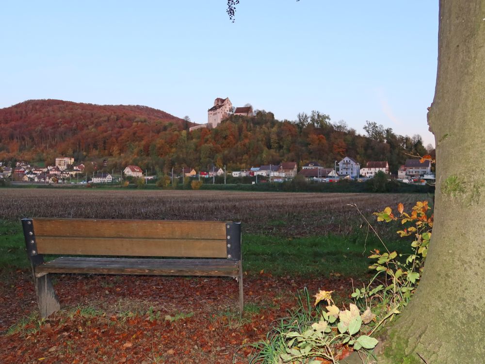 Sitzbank mit Schloss Wildegg