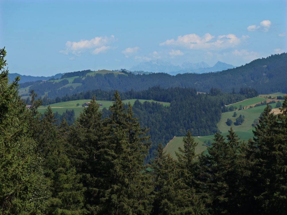 Säntis im Dunst