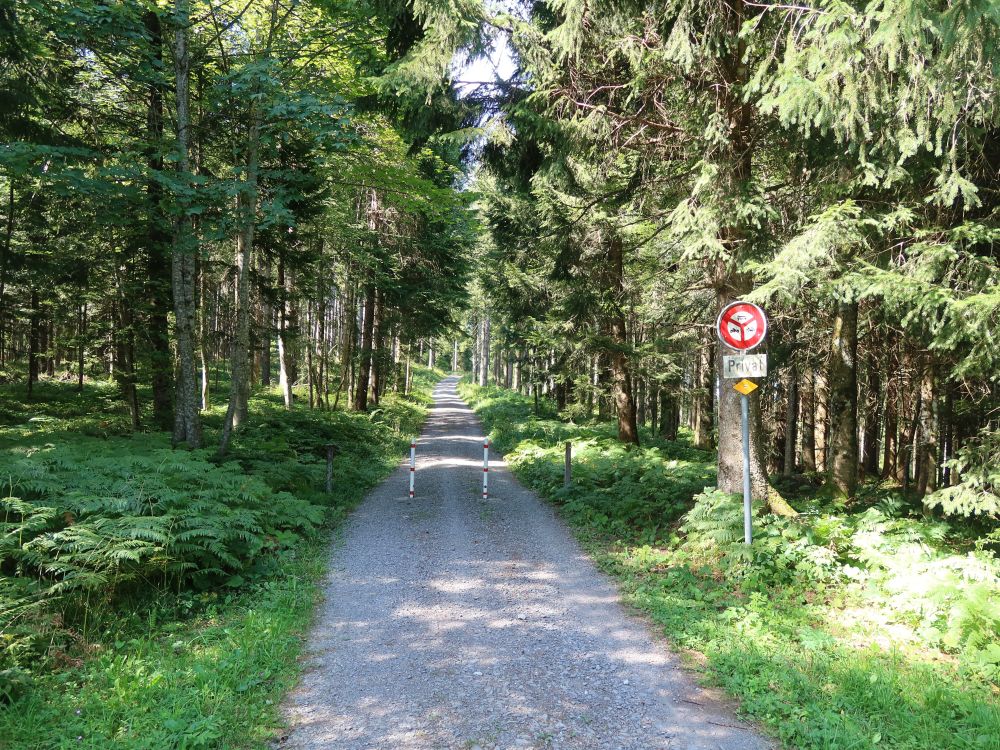 Waldweg