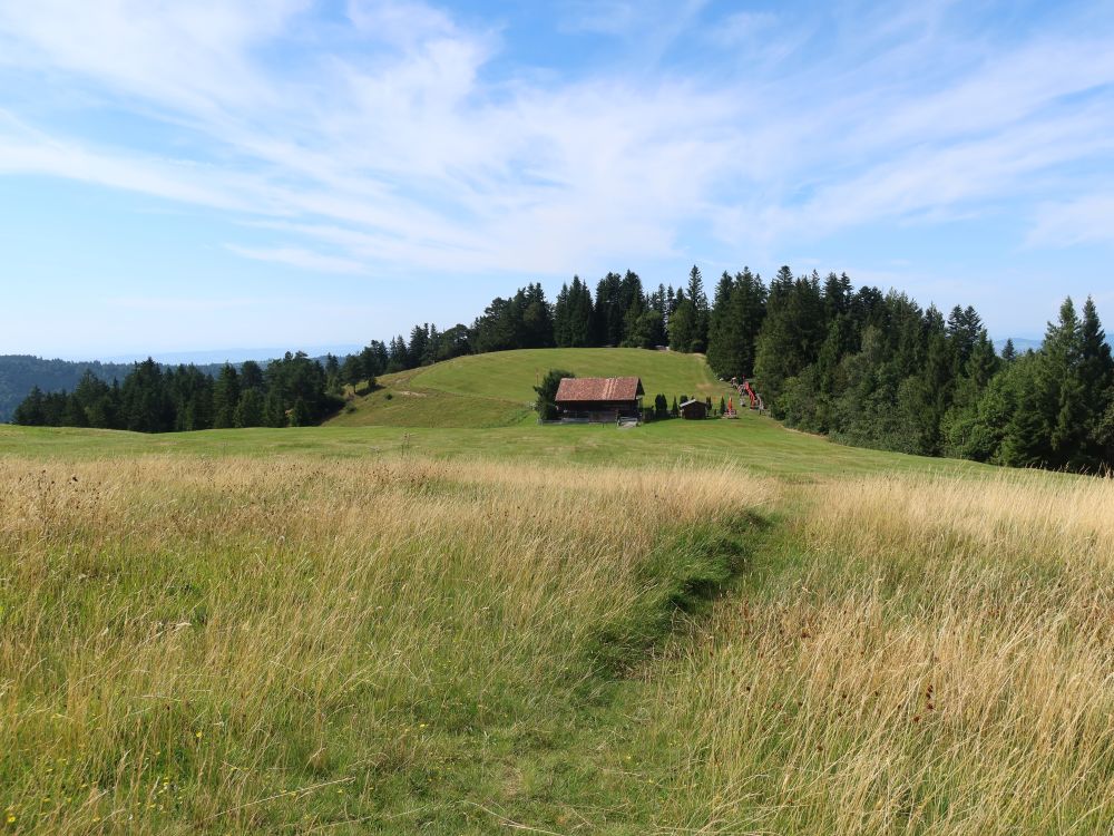 Alpwirtschaft Brandalp