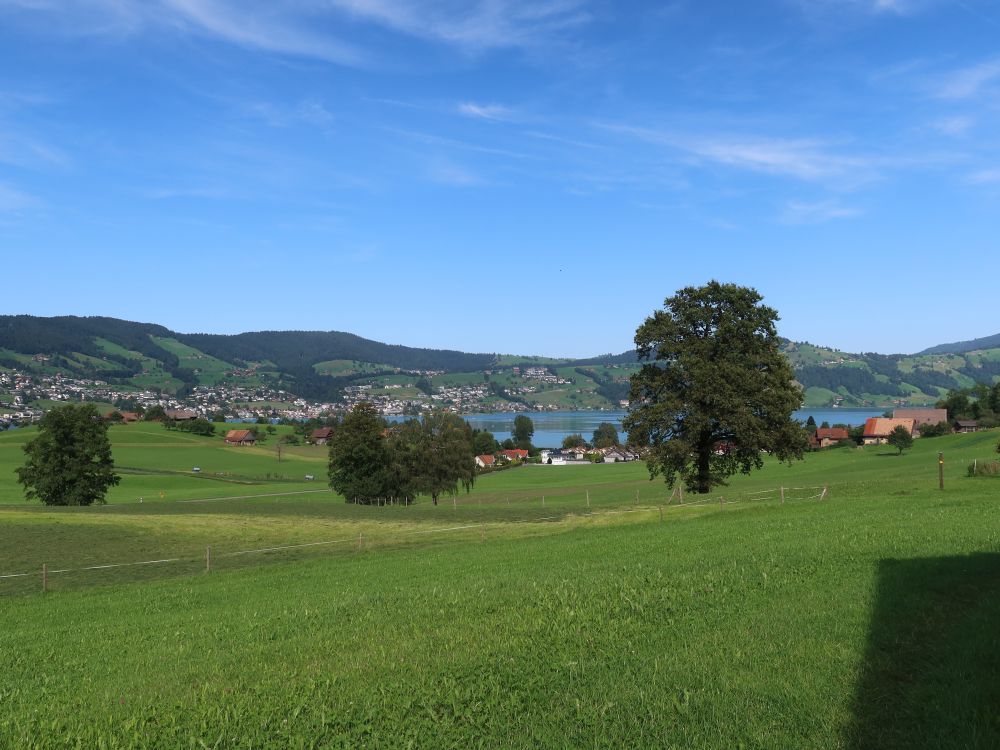 Blick Richtung Ägerisee