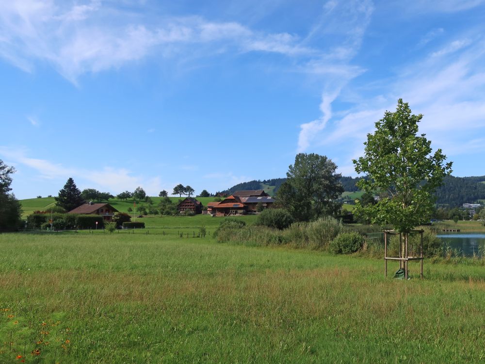 Chilchbüel