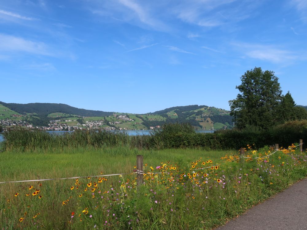 Blick Richtung Ägerisee