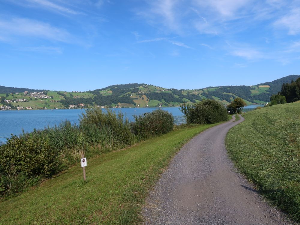 Weg am Ägerisee