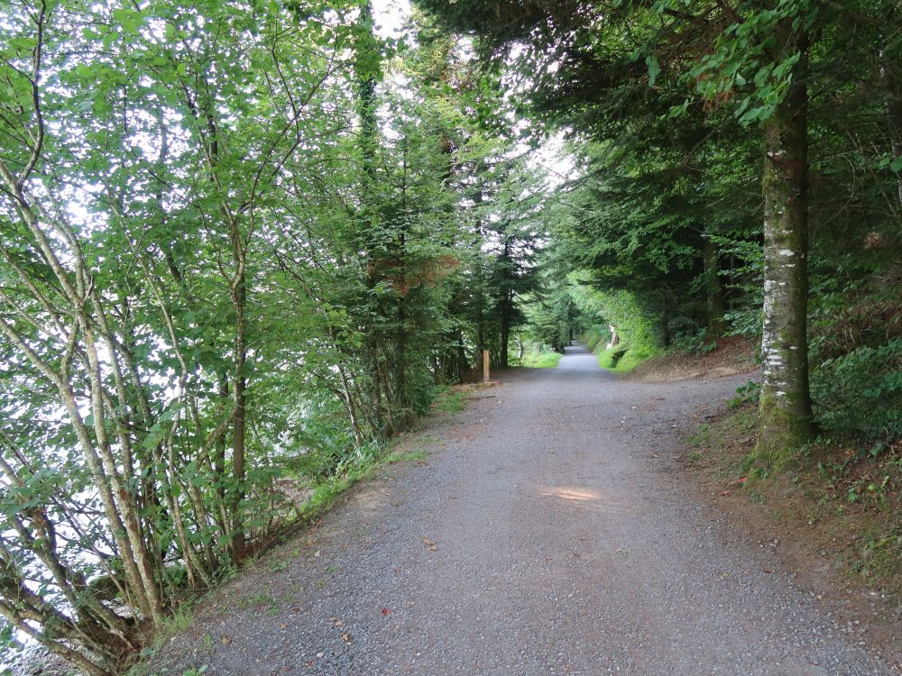 Uferweg am Ägerisee