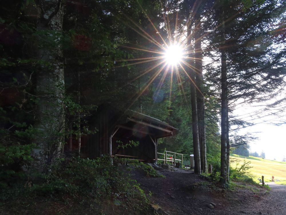 Gegenlicht über der Schutzhütte