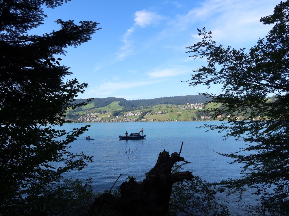 Angler auf dem Ägerisee