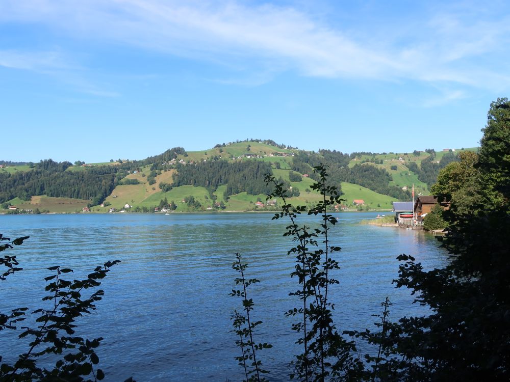 Blick über den Ägerisee