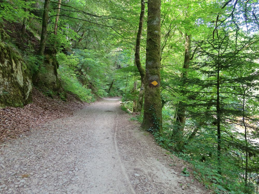 Weg an der Areuse