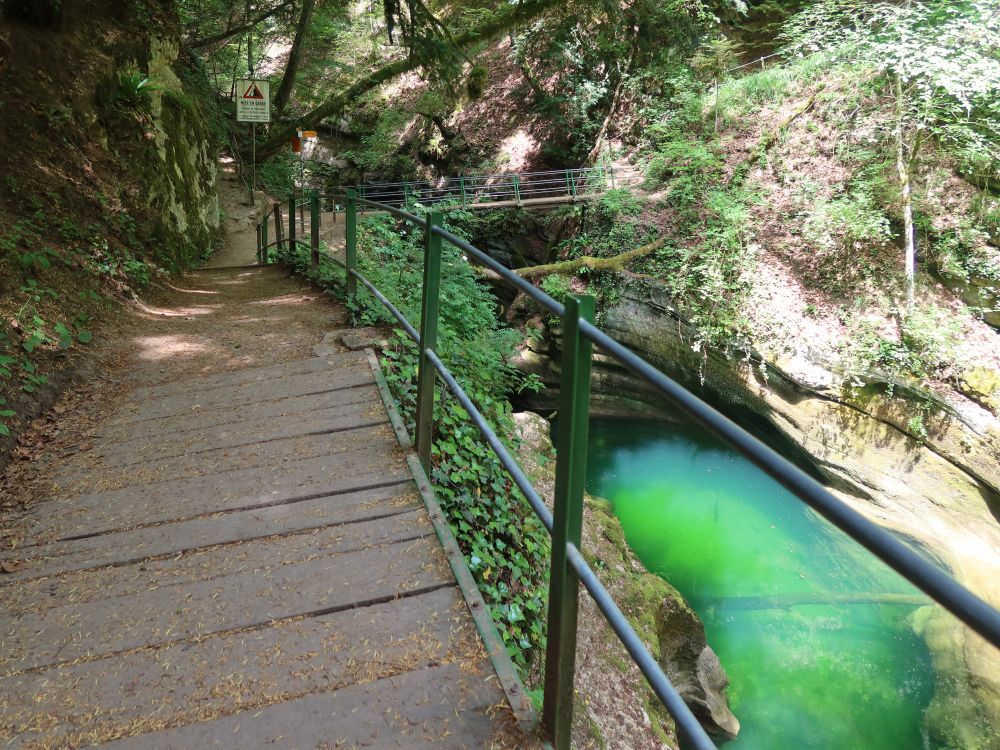 Steg neben grünem Wasserloch