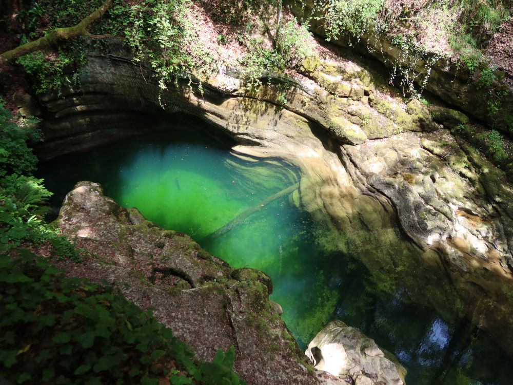 grünes Wasserloch