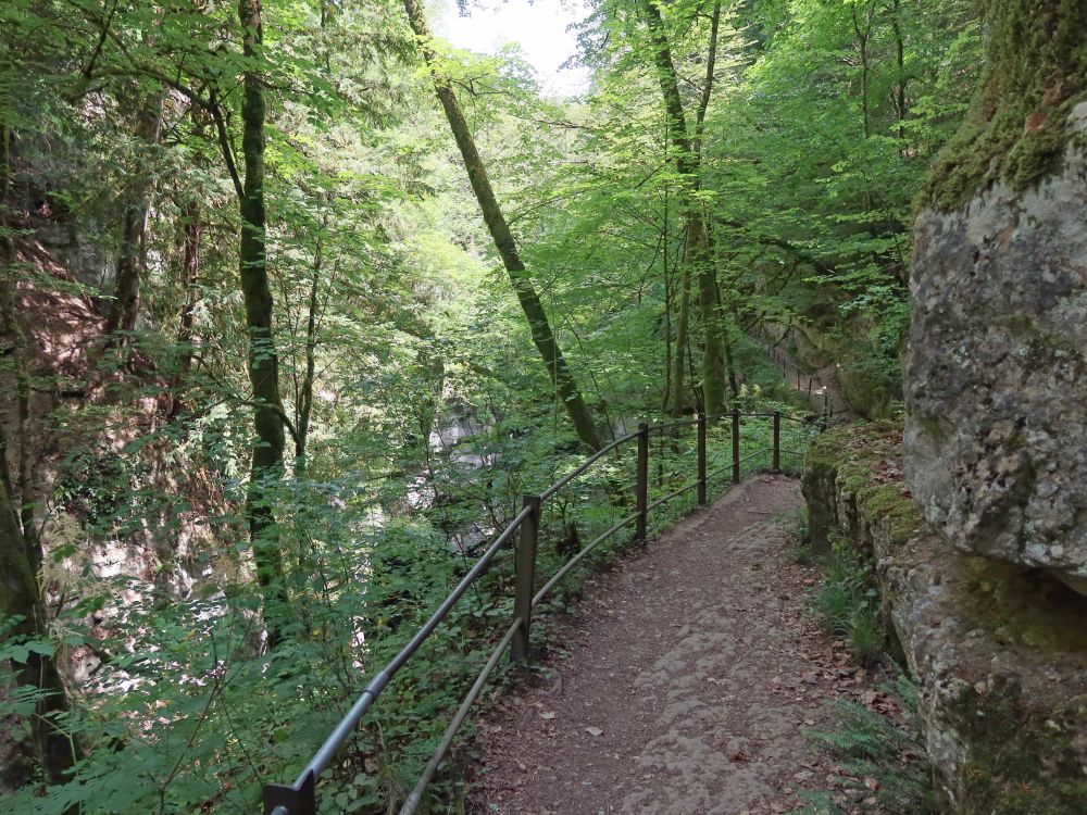 Weg über der Areuse