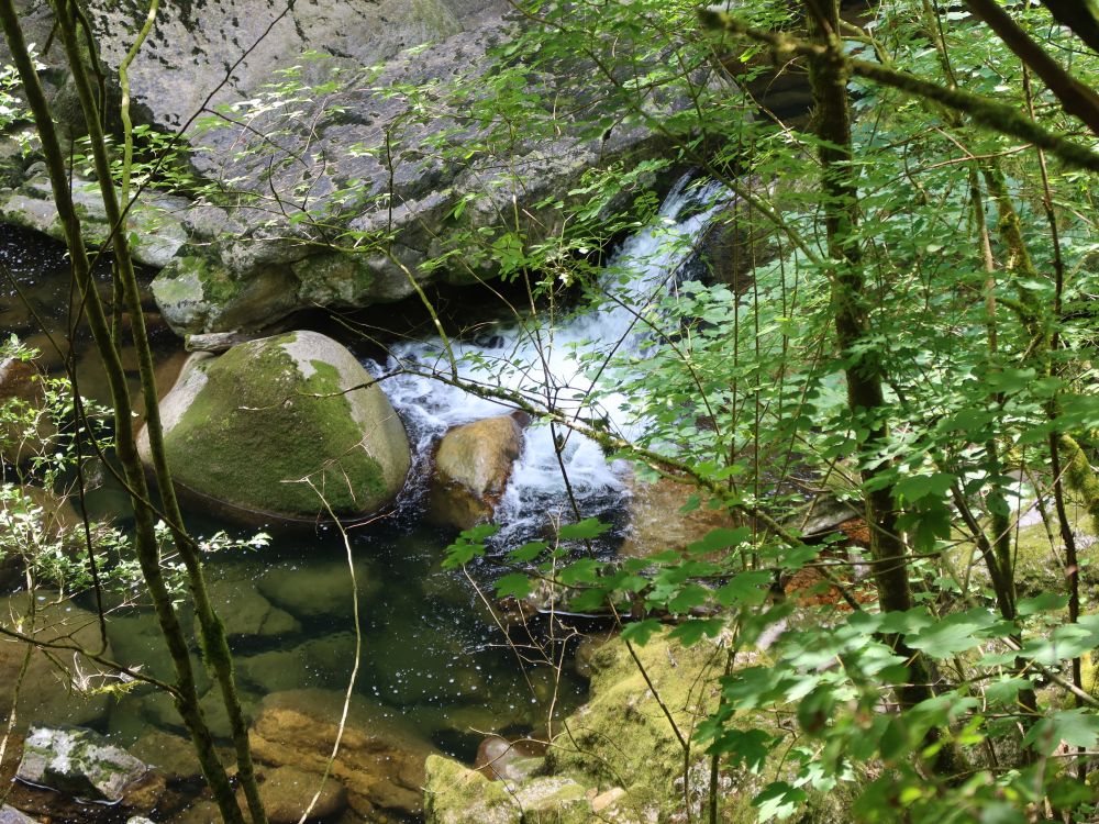 Felsen in der Areuse