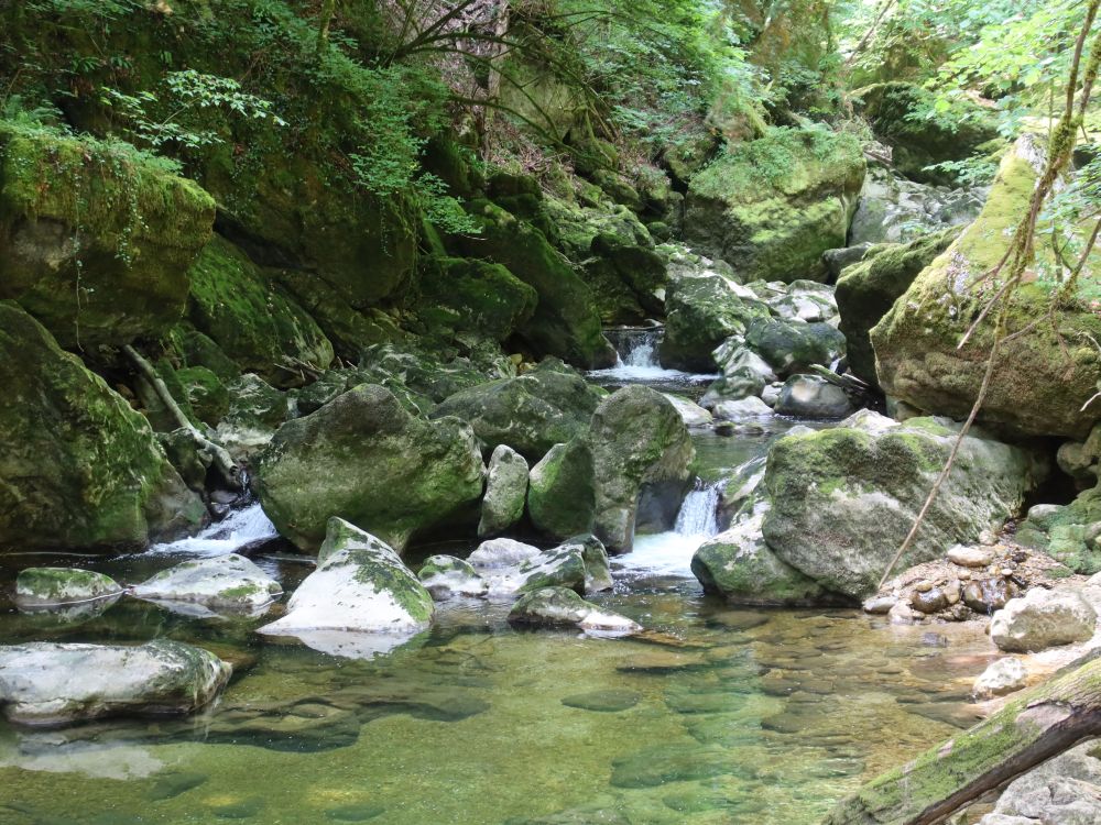 Felsen in der Areuse