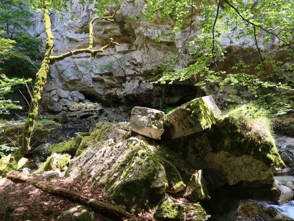 Felsen in der Areuse