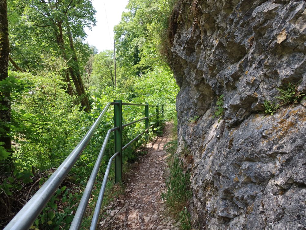 Weg an der Areuse