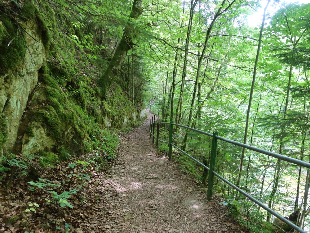 Weg an der Areuse