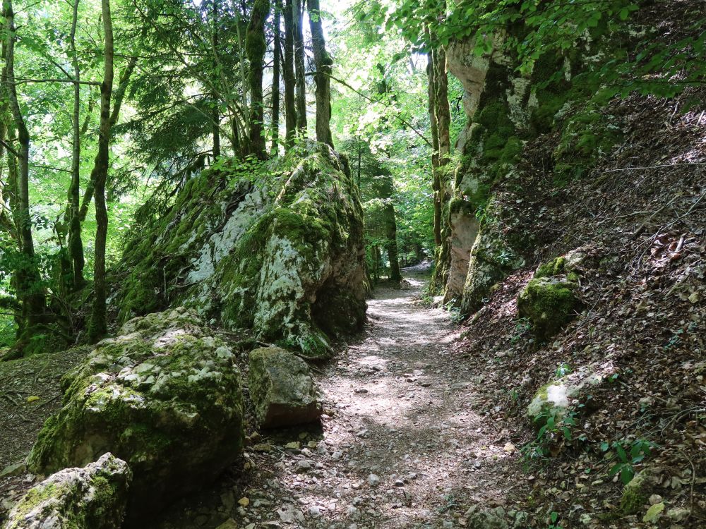 Pfad zwischen den Felsen