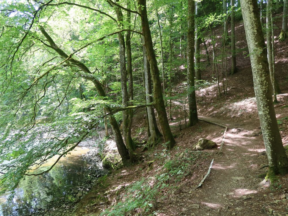 Weg an der Areuse