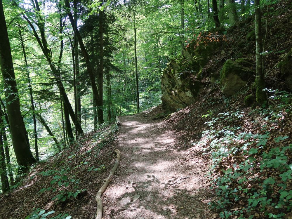 Waldweg