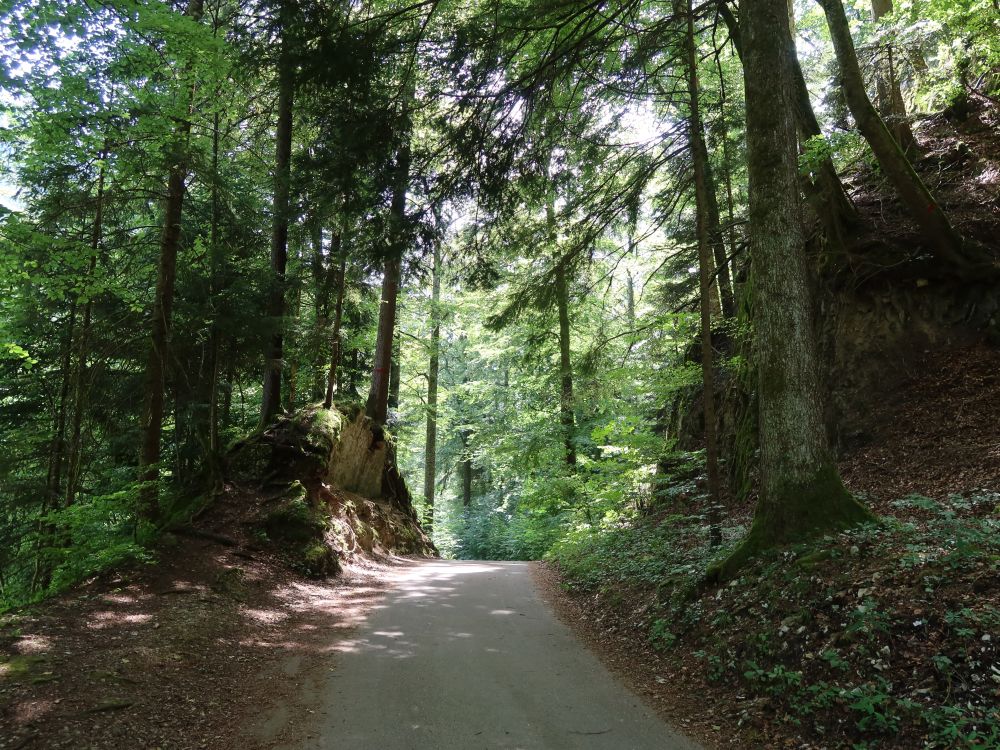 Waldweg