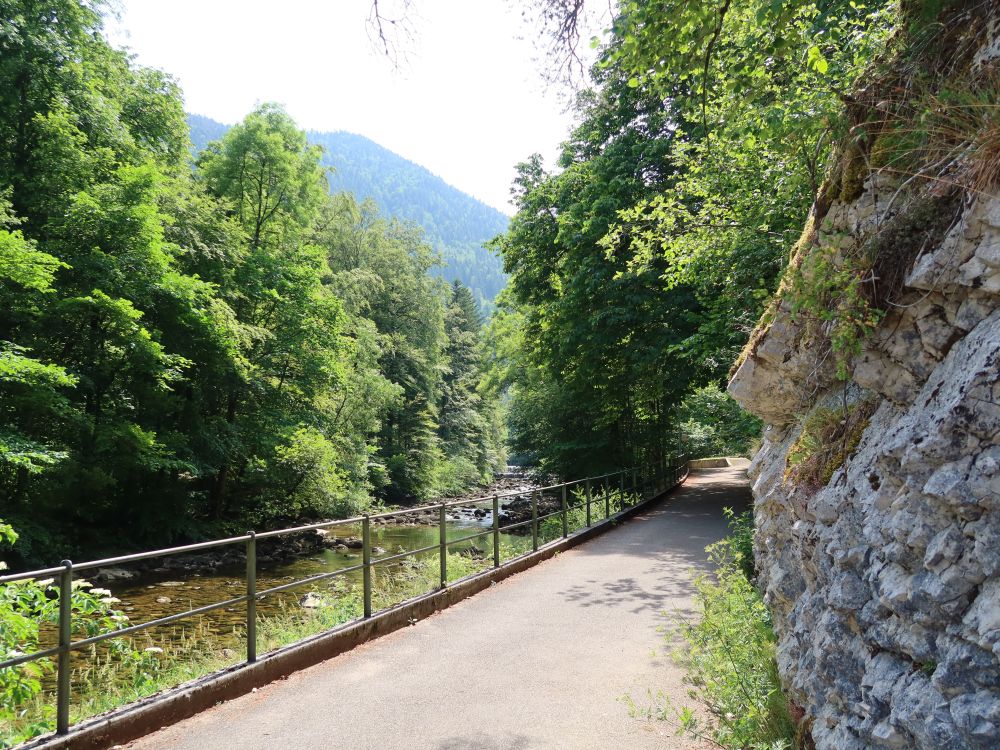 Weg an der Areuse