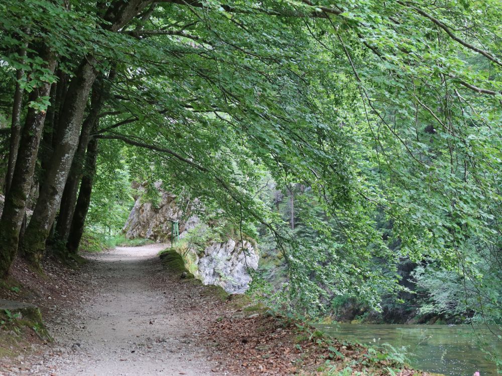 Weg an der Areuse