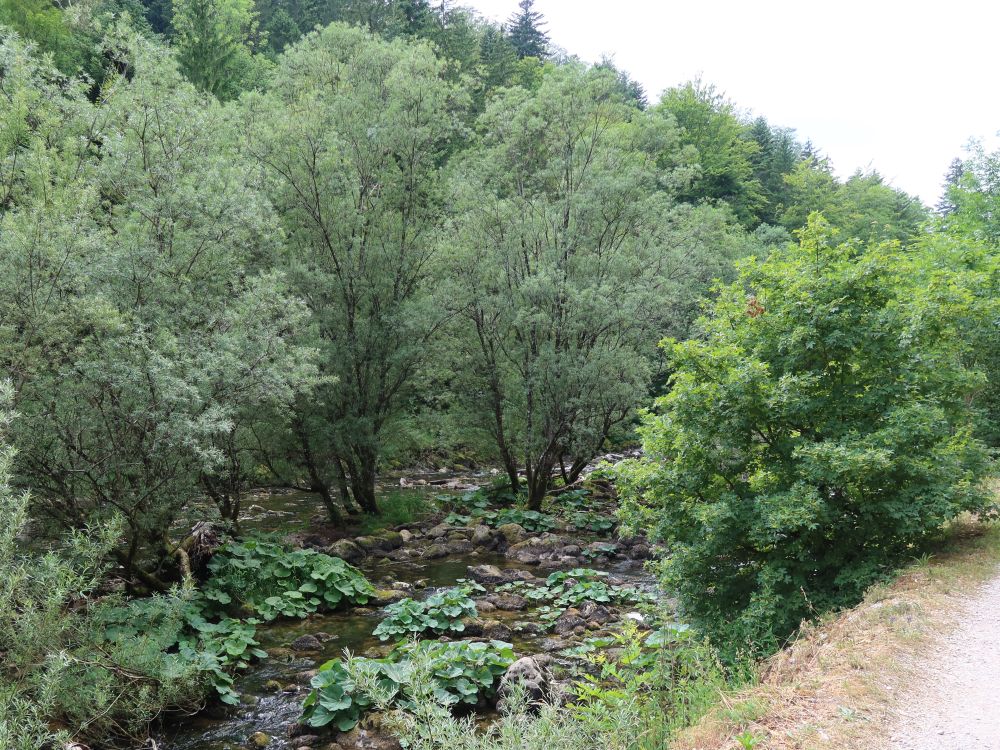 Weg an der Areuse