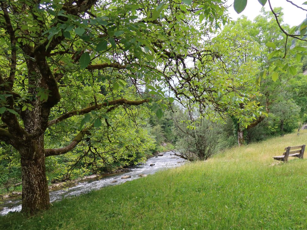 Sitzbank an der Areuse