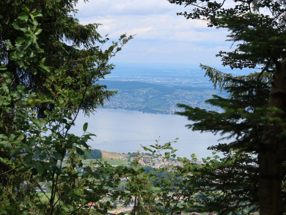 Blick zum Zürichsee