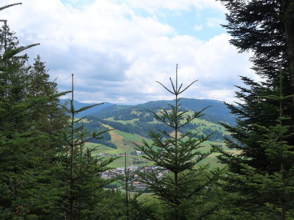 Blick auf Biberbrugg