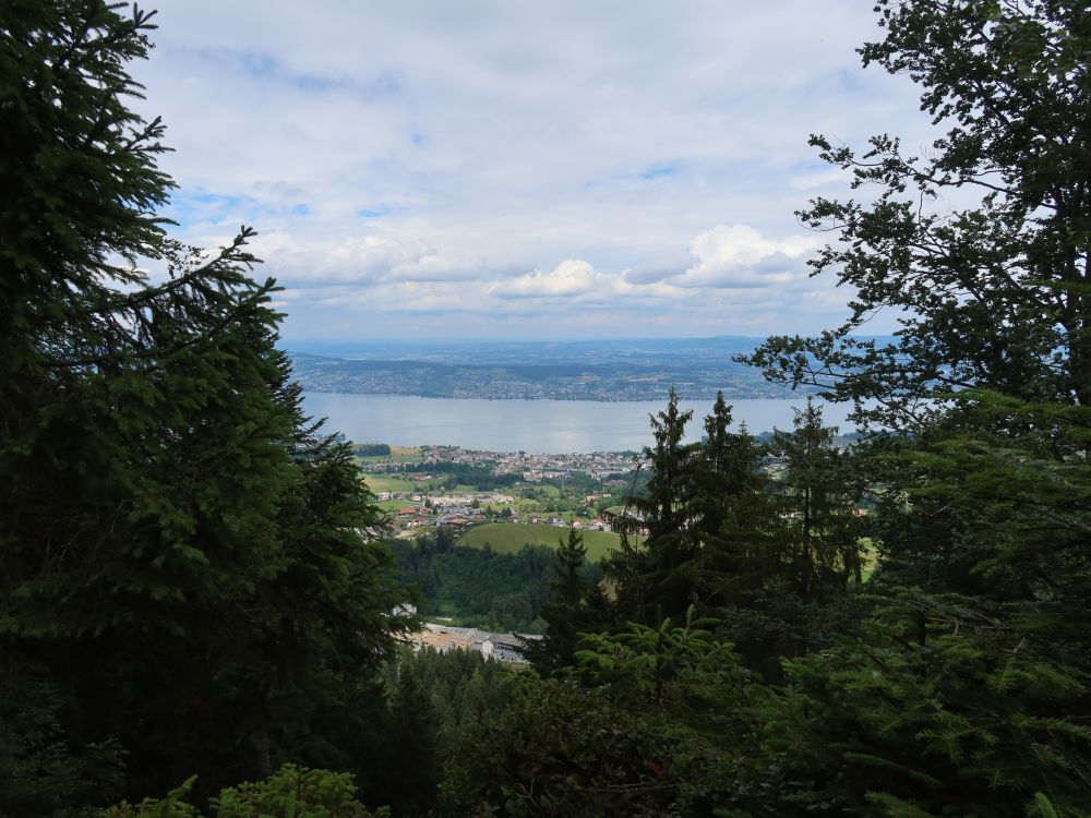 Blick Richtung Zürichsee