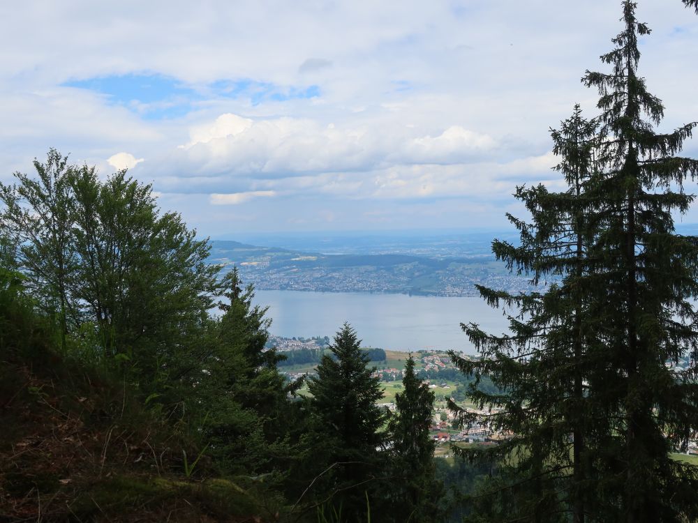 Blick Richtung Zürichsee