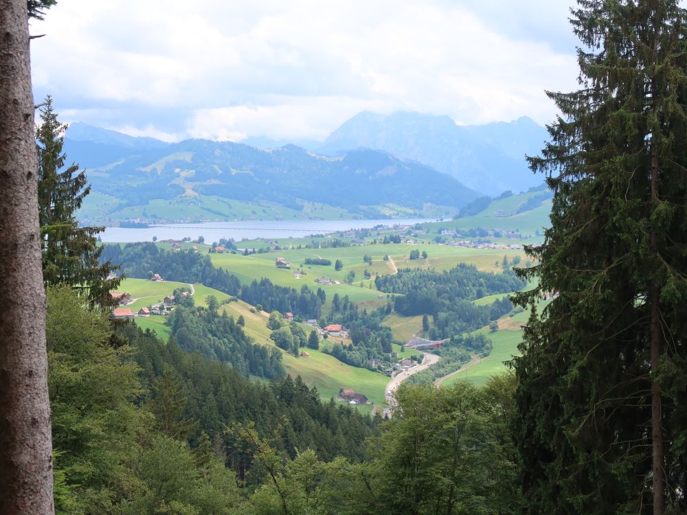 Blick Richtung Sihlsee