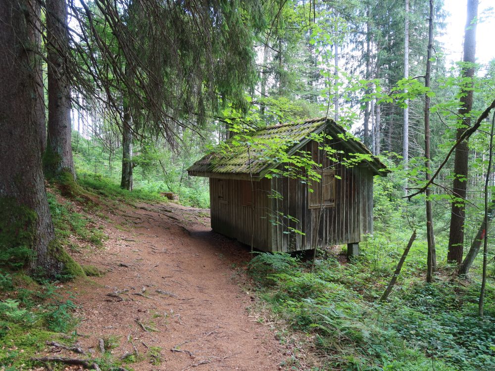 Waldhütte