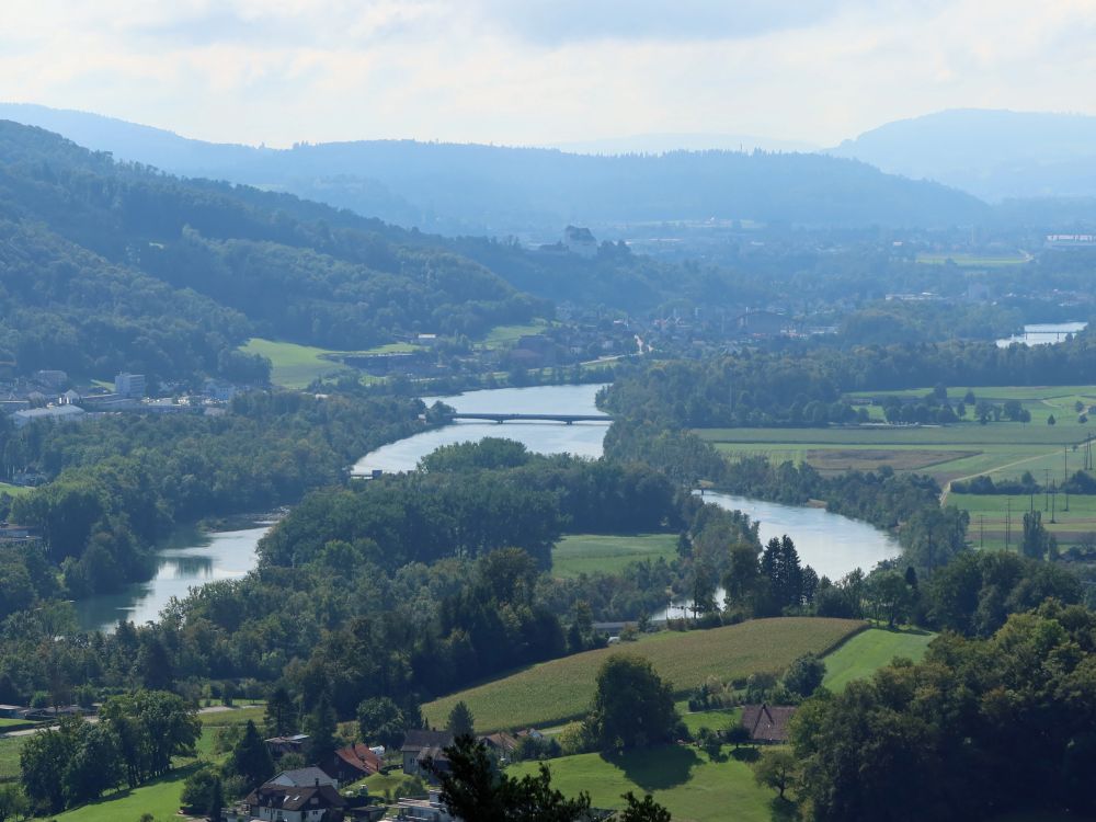 Blick auf die Aare