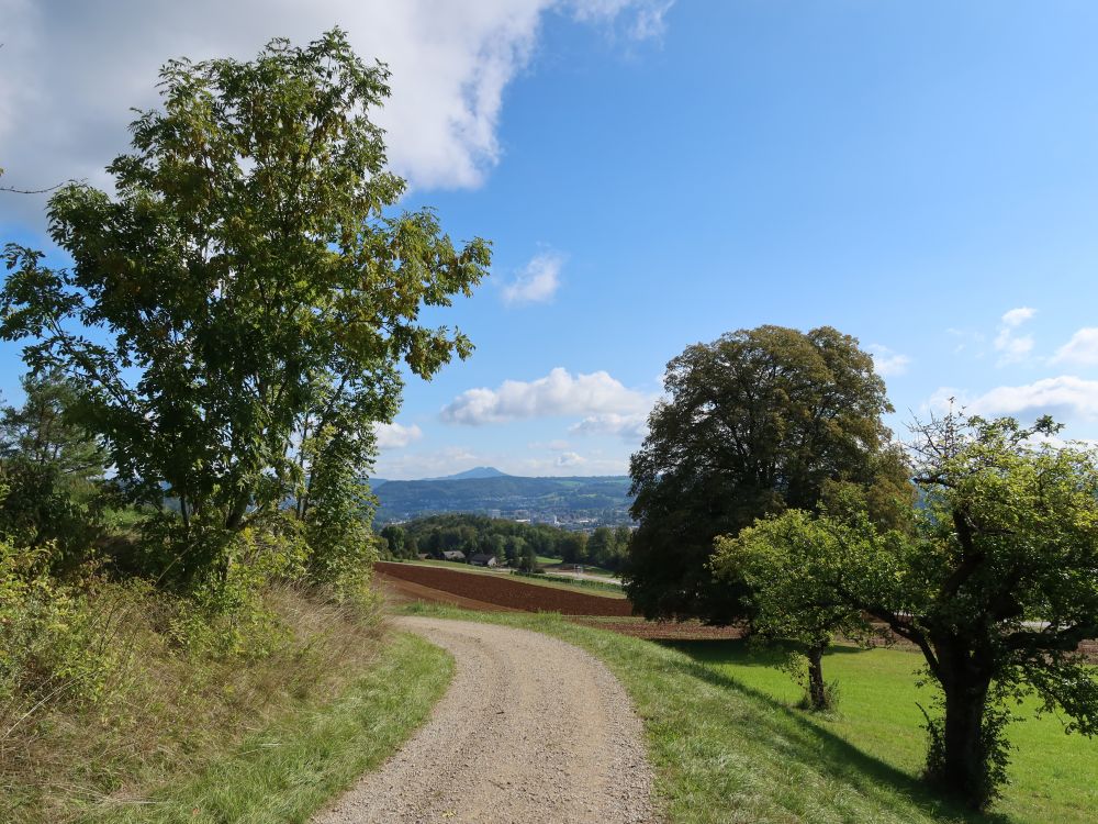 Weg mit Lägeren am Horizont