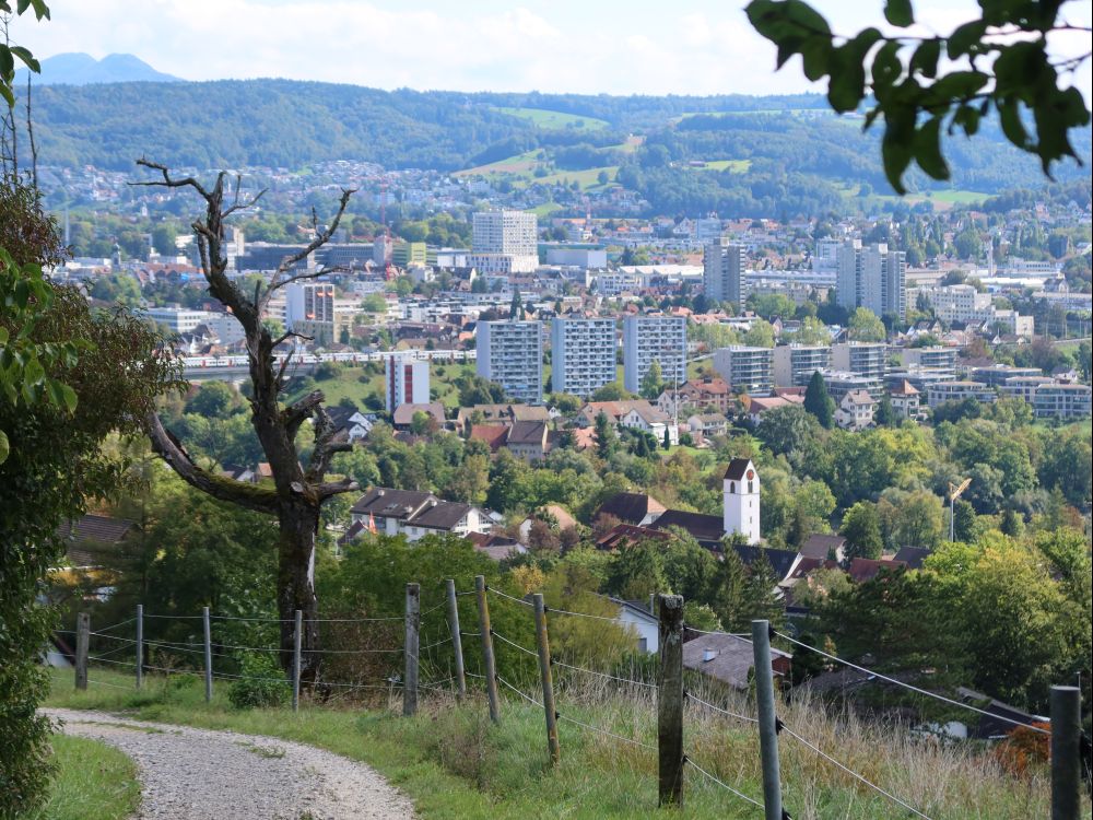 Blick auf Brugg