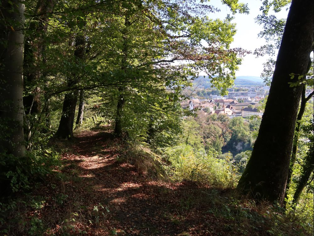 Pfad an der Bergkante