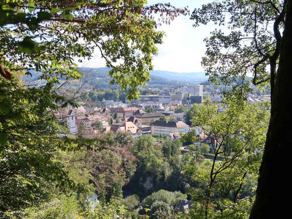 Blick auf Brugg